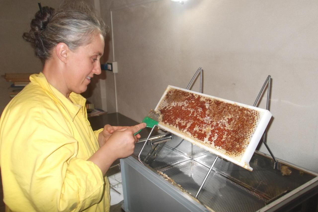 Agriturismo Di Charme E Ristorante Stallato Il Filo Di Paglia Carro Ngoại thất bức ảnh