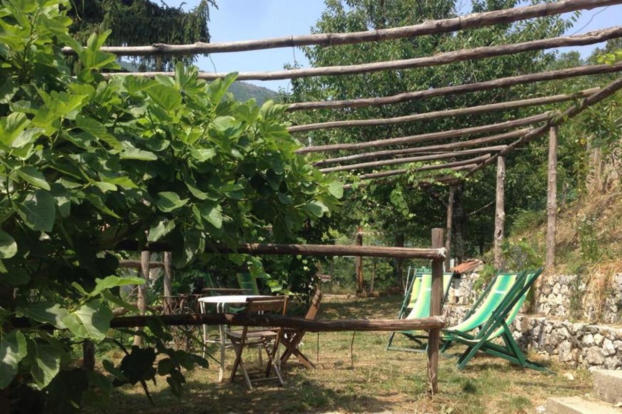 Agriturismo Di Charme E Ristorante Stallato Il Filo Di Paglia Carro Ngoại thất bức ảnh