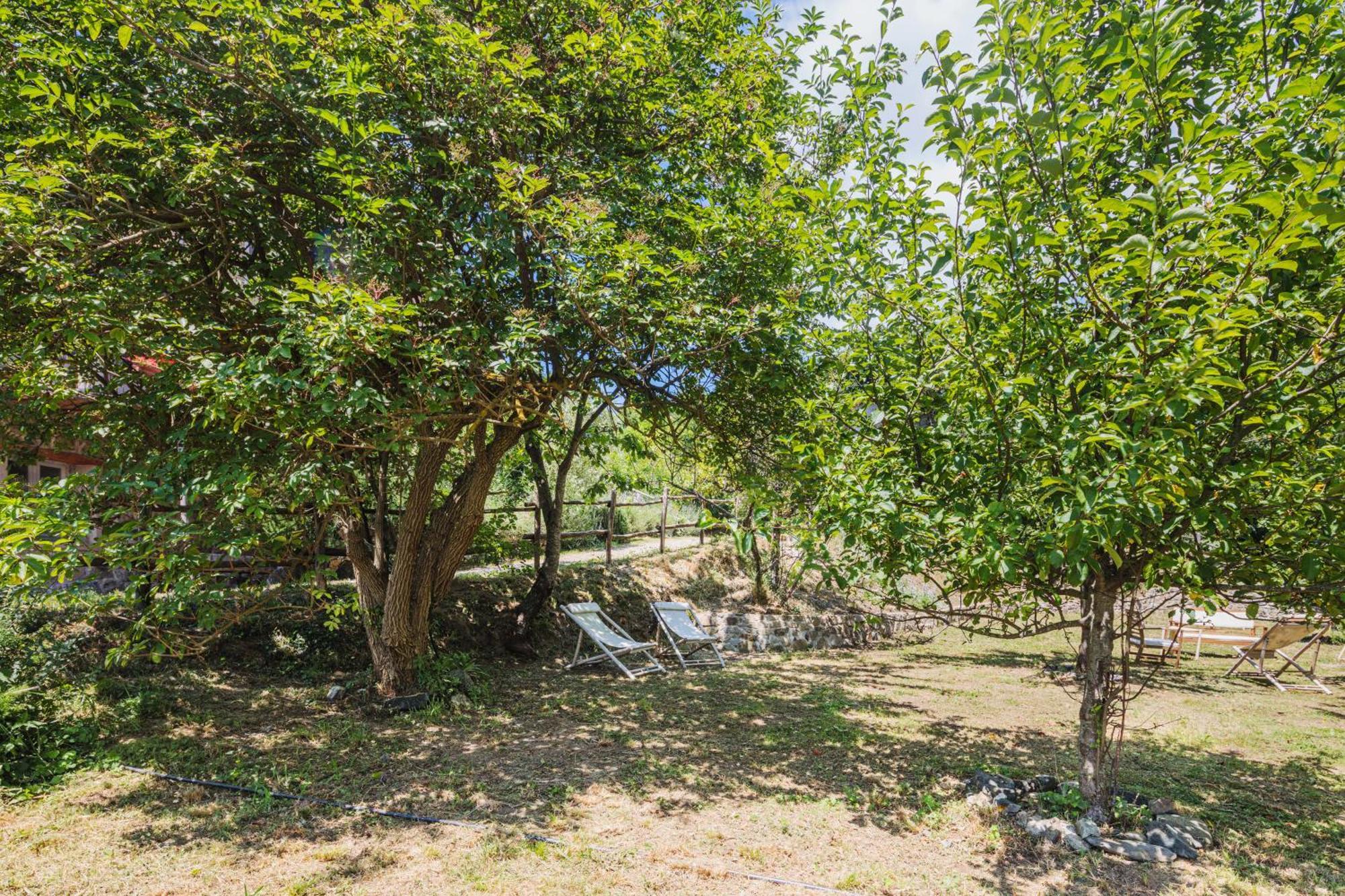 Agriturismo Di Charme E Ristorante Stallato Il Filo Di Paglia Carro Ngoại thất bức ảnh